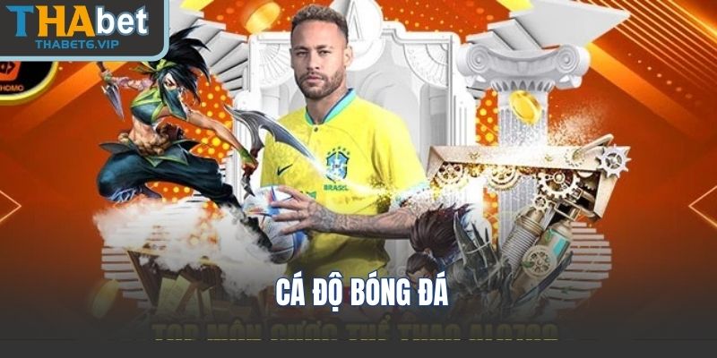 Cá Độ Bóng Đá